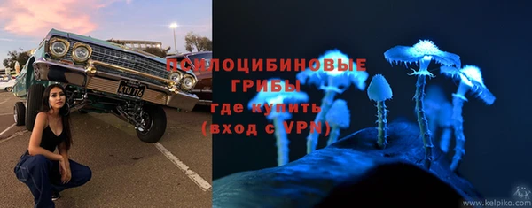 PSILOCYBIN Магадан