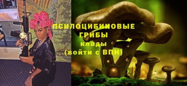 PSILOCYBIN Магадан